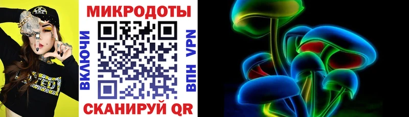 Псилоцибиновые грибы Cubensis  Геленджик 